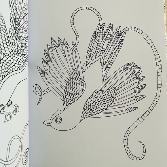 Birds of Paradise: A Therapeutic Coloring Book for Adults - Picture 4 of 9